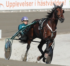 Ugly Duckling 160916-3